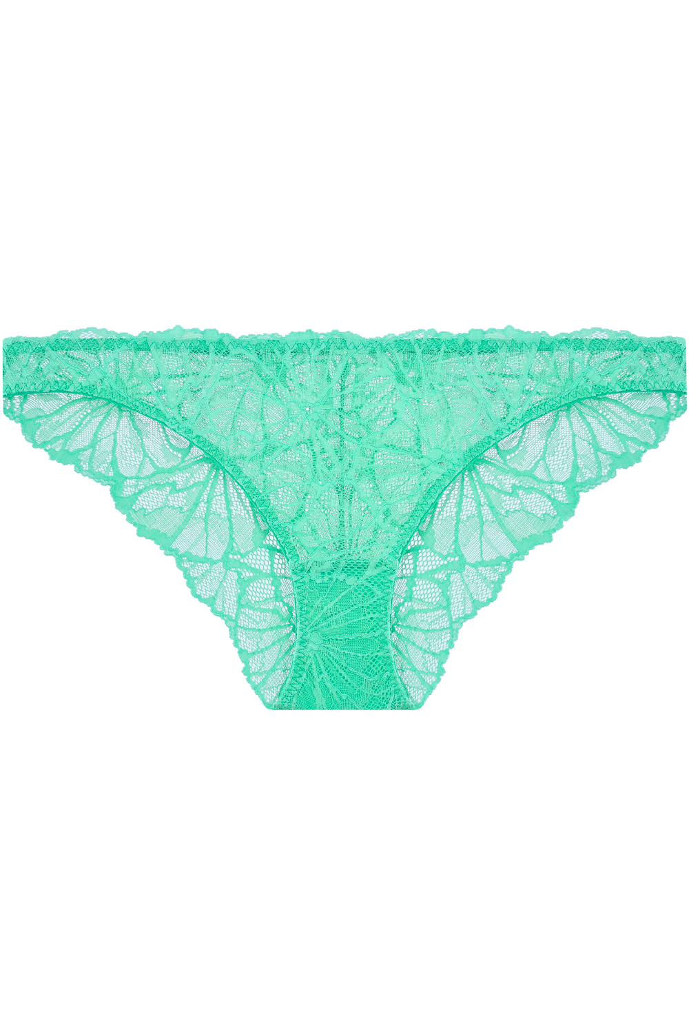 Dora Larsen Eden Graphic Lace Knicker