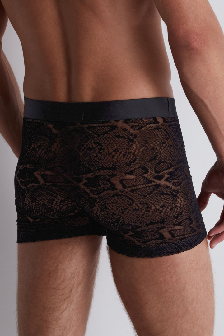 Aubade Homme Men's Black Python Boxer