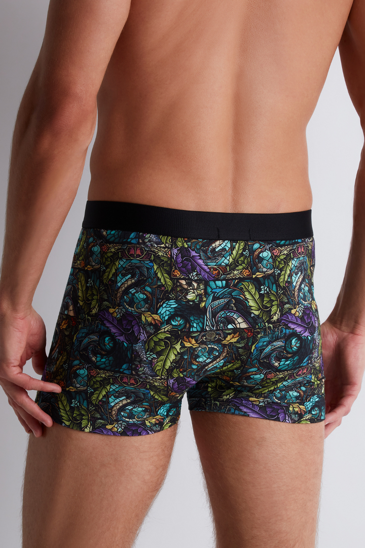 Aubade Homme Men's Dragon Boxer